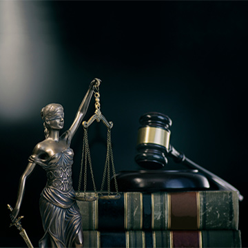 Criminal Defense Lawyer