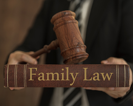 Family Lawyer